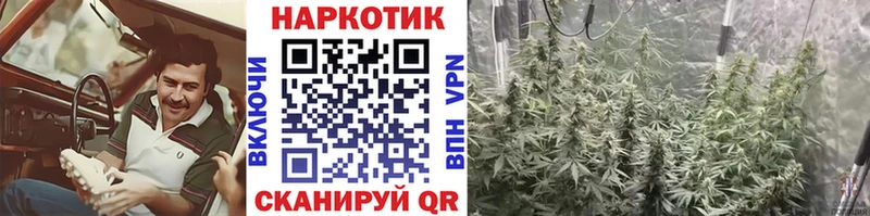 Где продают наркотики Елизово A PVP АМФ Кокаин Бошки Шишки