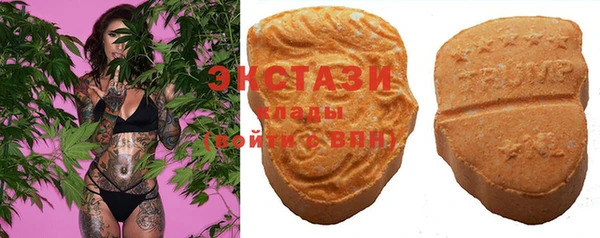 PSILOCYBIN Горняк