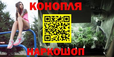 индика Канаш