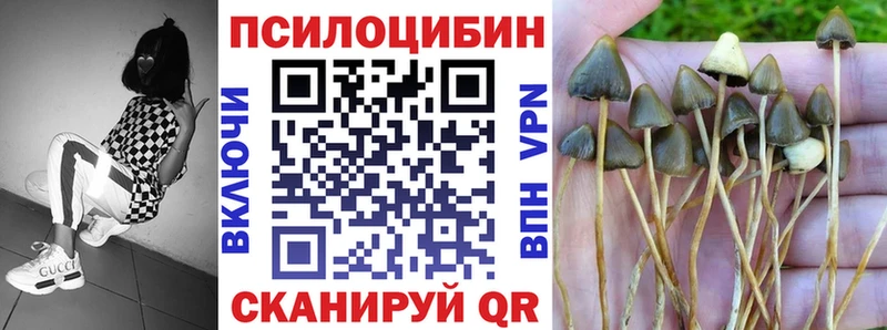 Псилоцибиновые грибы MAGIC MUSHROOMS  KRAKEN ССЫЛКА  Елизово 